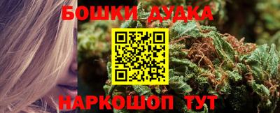 прущие грибы Новокубанск